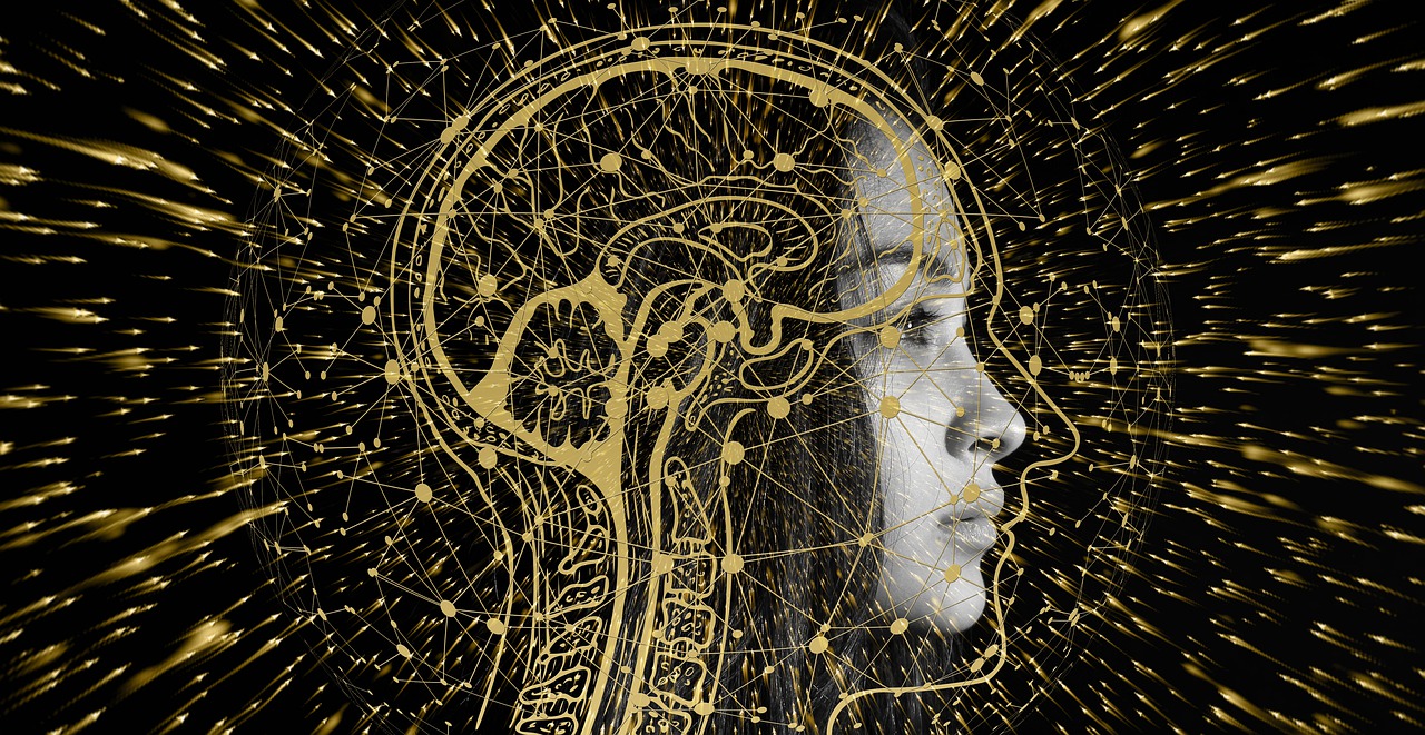 An abstract illustration of the human head highlights the importance of individual experiences in the customer feedback strategy.