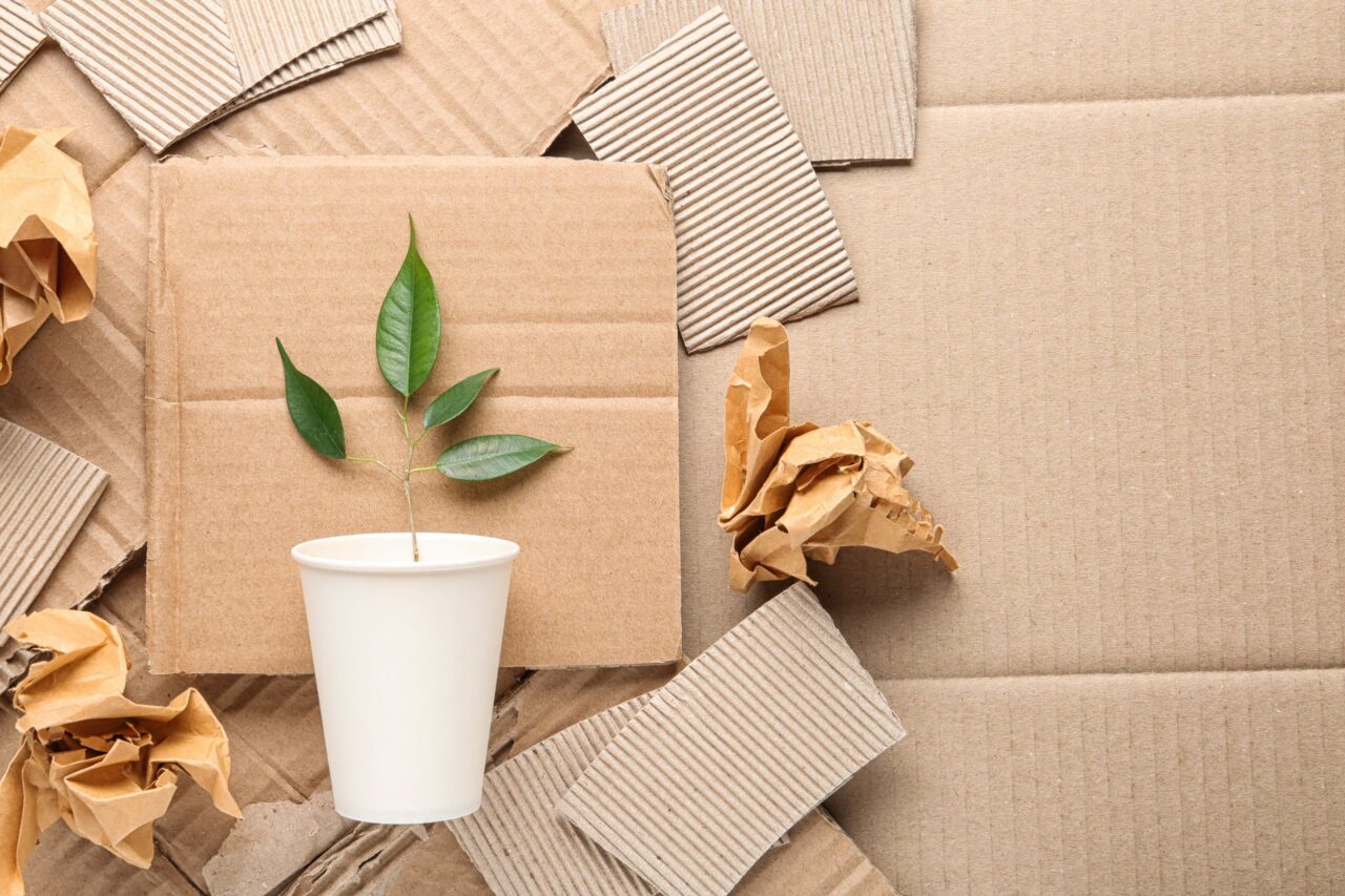 A cardboard around a green plant represents the waste of packaging.
