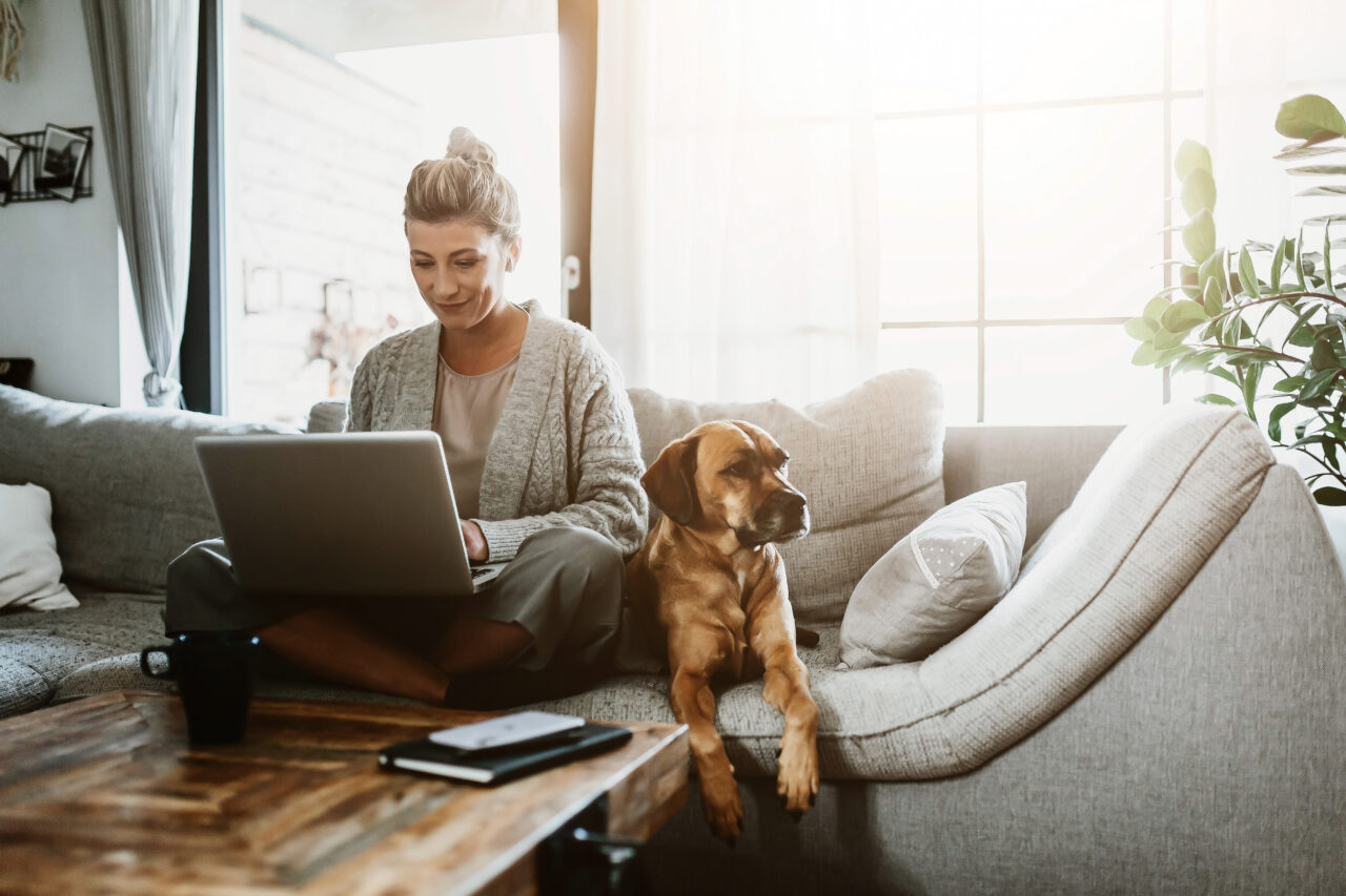 an image showing a woman working remotely and a dog next to her. 