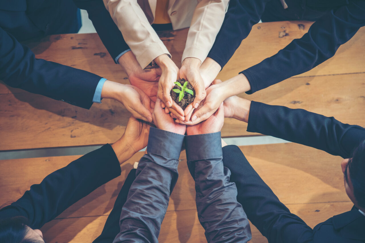 an image showing sustainable customer satisfaction with people holding a plant in their hands. 