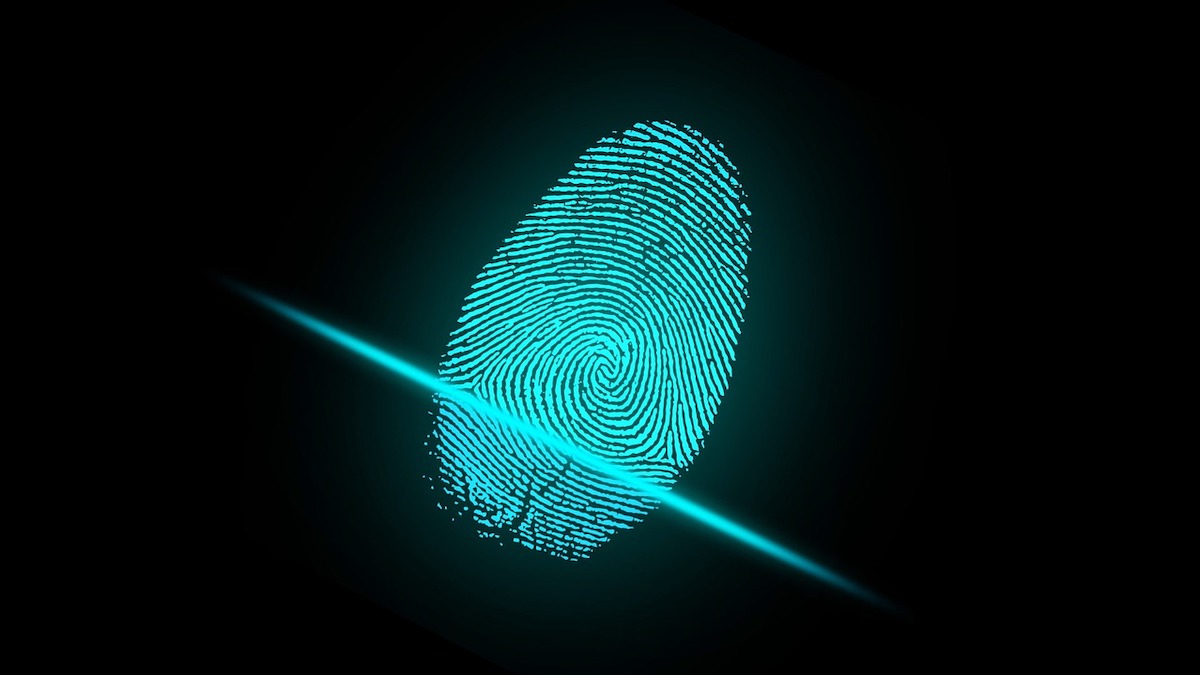 Digital fingerprinting